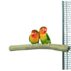 BACK ZOO NATURE JAVA SINGLE PERCH SMALL BACK ZOO NATURE JAVA SINGLE PERCH SMALL